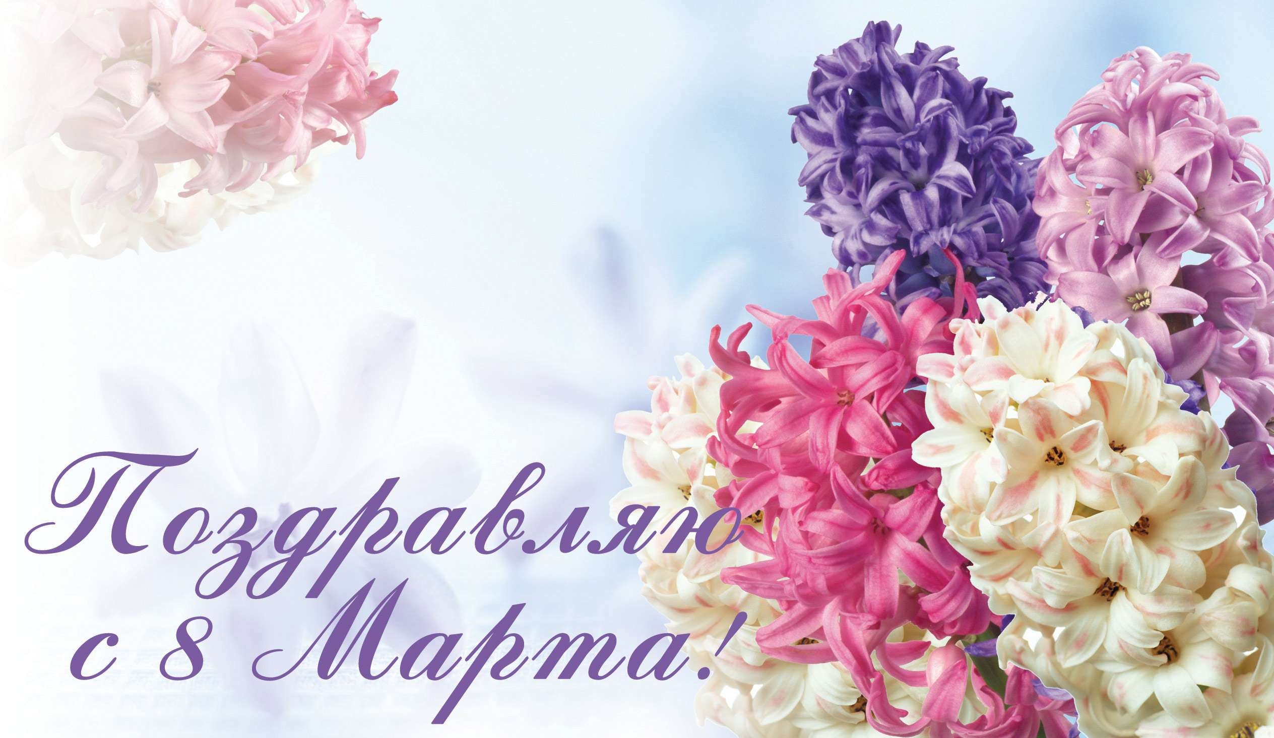 2018Holidays___International_Womens_Day_Greeting_card_with_spring_flowers_hyacinths_on_March_8_130557__1